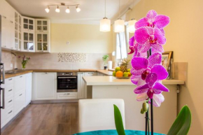 Apartman Maxim
